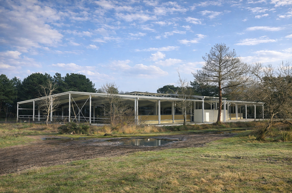 Description de l'image